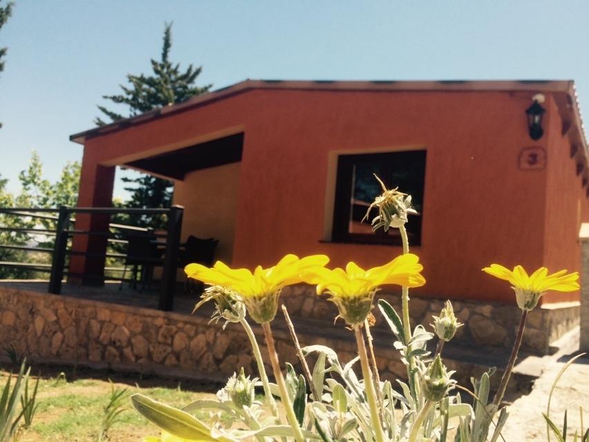 Complejo Turistico El Sur Daire Ronda Oda fotoğraf